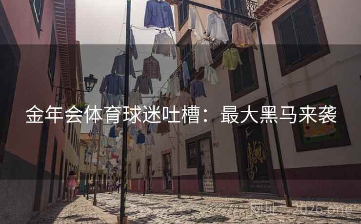 金年会体育球迷吐槽：最大黑马来袭