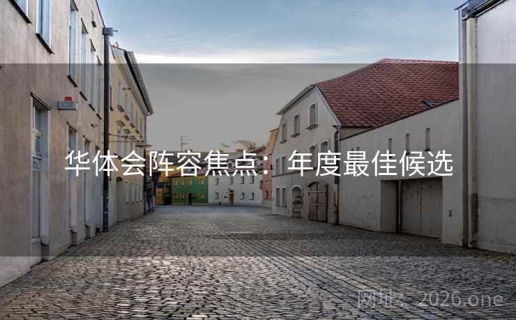 华体会阵容焦点：年度最佳候选