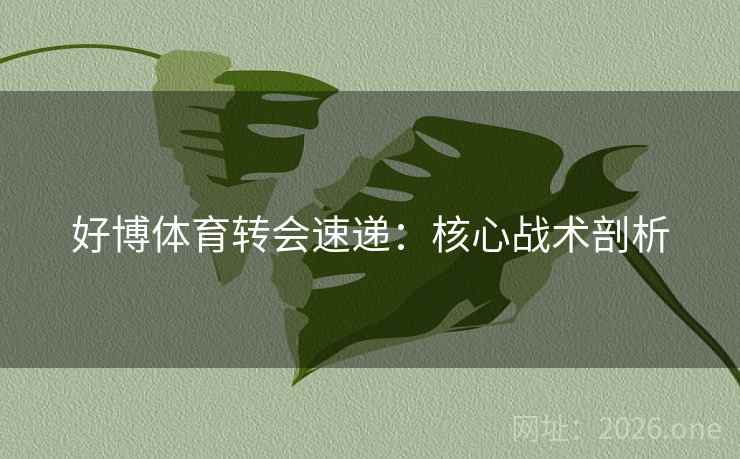 好博体育转会速递：核心战术剖析