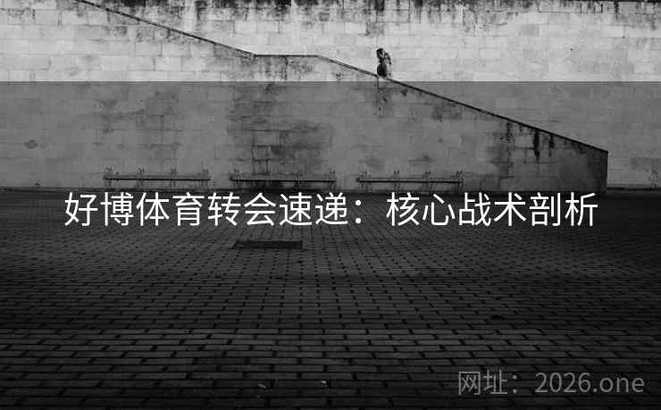 好博体育转会速递：核心战术剖析