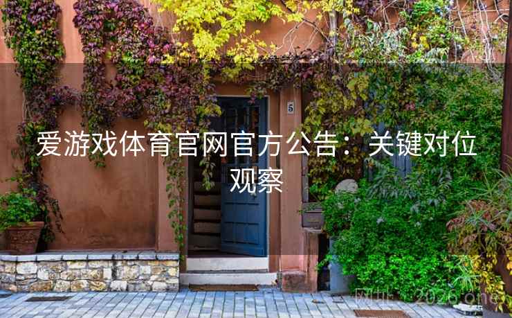 爱游戏体育官网官方公告：关键对位观察