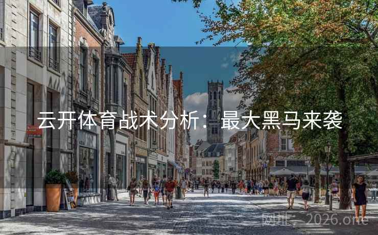 云开体育战术分析:最大黑马来袭 云开体育战术分析:最大黑马来袭