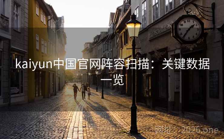 kaiyun中国官网阵容扫描：关键数据一览